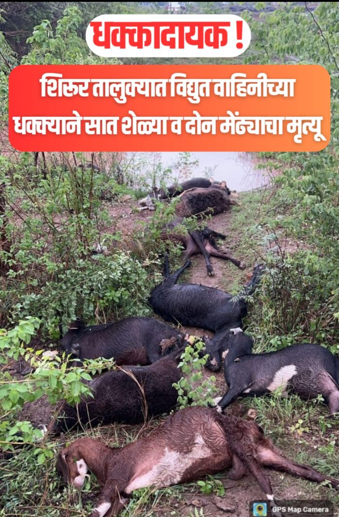 स्वराज्य राष्ट्र